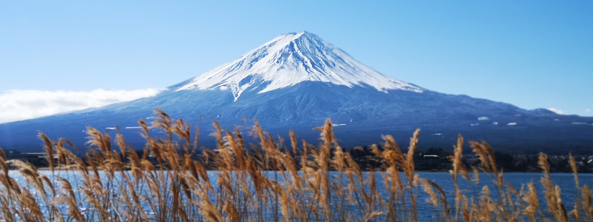 Fuji-san