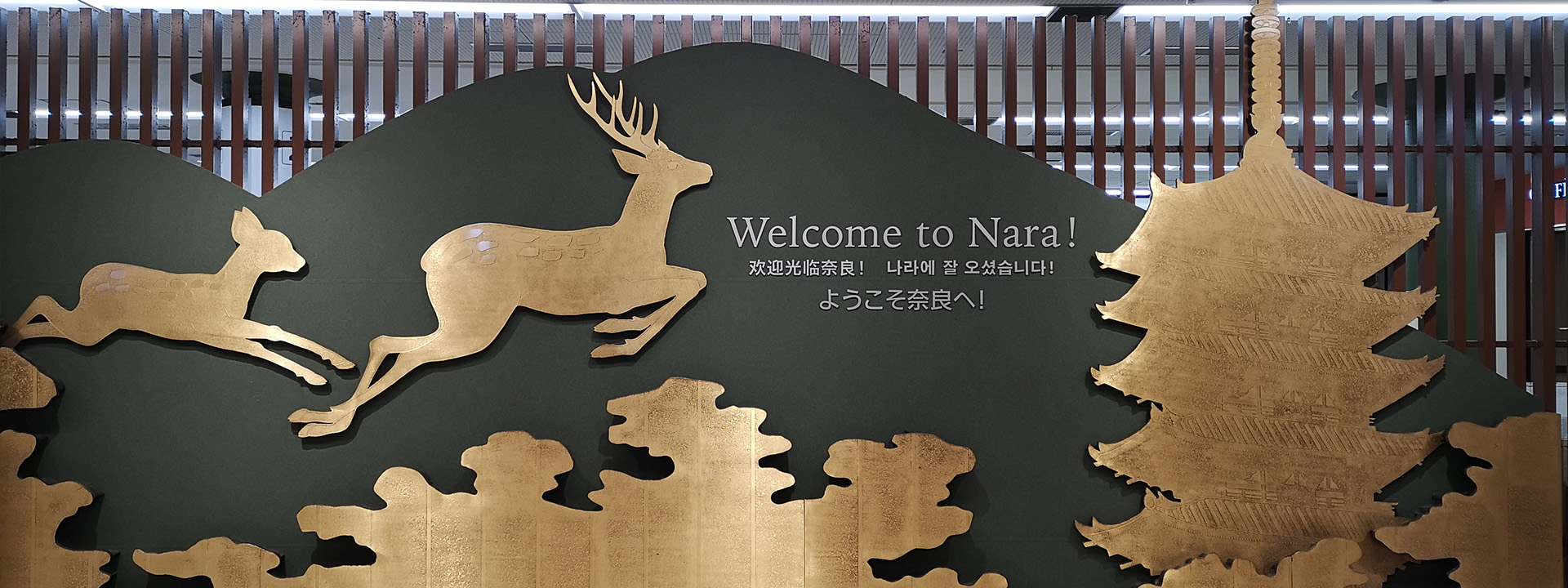 Nature, tranquility, and deer.