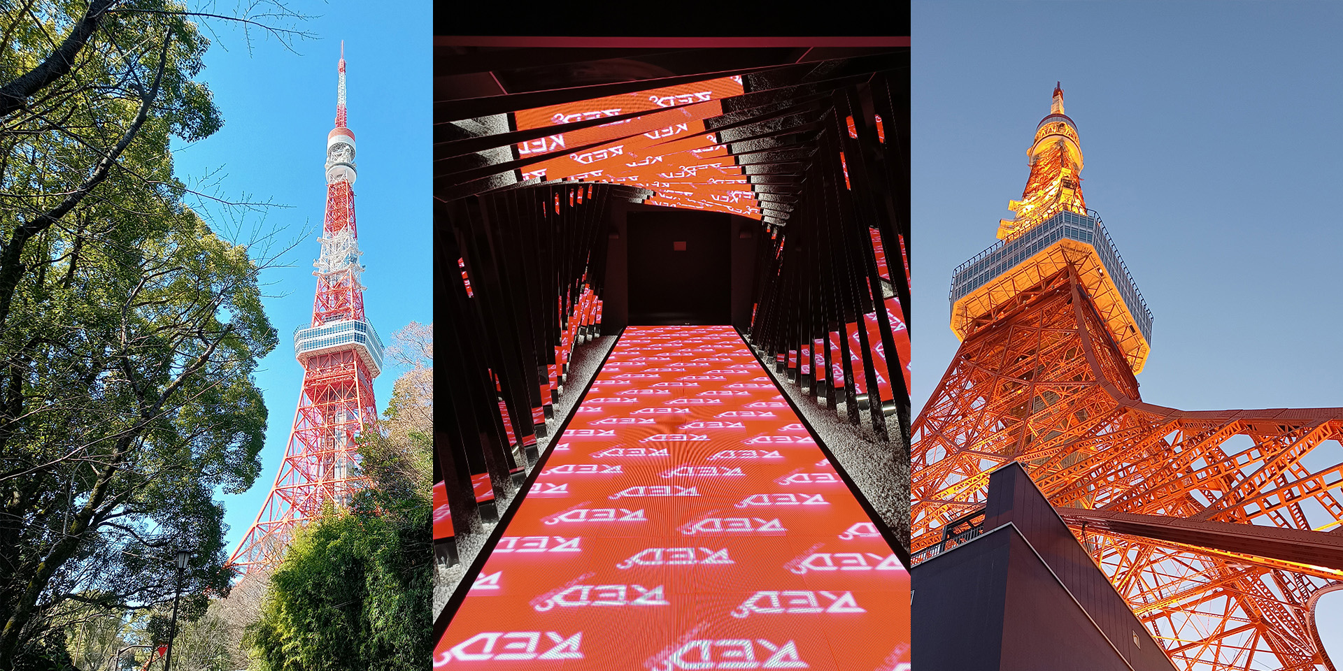 Tokyo Tower and Red Tokyo Tower.